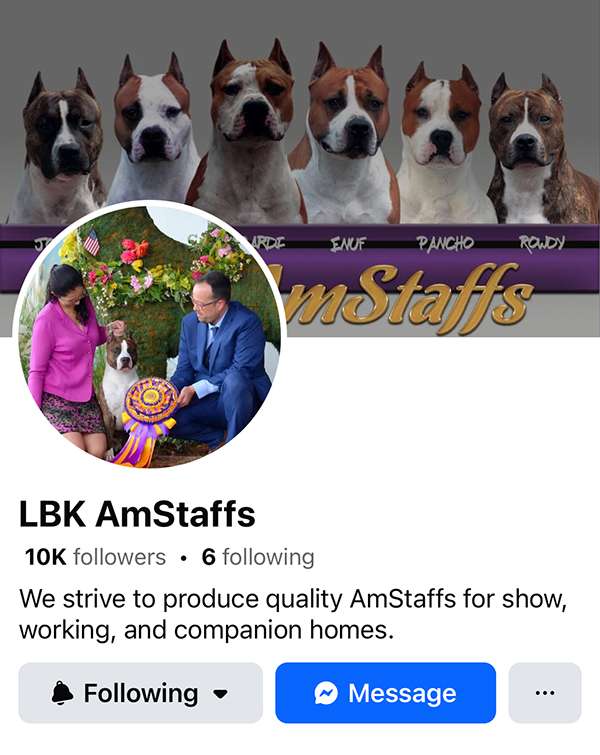 LBK Amstaffs Facebook