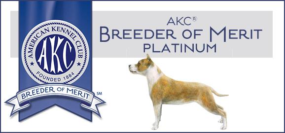 AKC Platinum Breeder of Merit